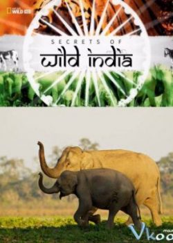 Bí Ẩn Thế Giới Hoang Dã Ấn Độ: Vương Quốc Loài Voi – Secrets Of Wild India: Elephant Kingdom