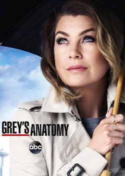 Ca Phẫu Thuật Của Grey (Phần 13) – Grey’s Anatomy (Season 13)