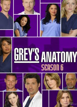 Ca Phẫu Thuật Của Grey (Phần 6) – Grey’s Anatomy (Season 6)