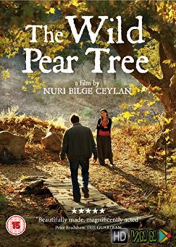 Cây Lê Dại – The Wild Pear Tree