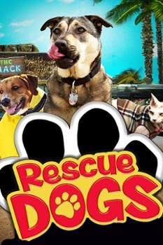 Chú Chó Cứu Hộ – Rescue Dogs
