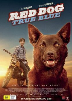 Chú Chó Đỏ 2 – Red Dog: True Blue