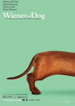 Chú Chó May Mắn – Wiener-Dog
