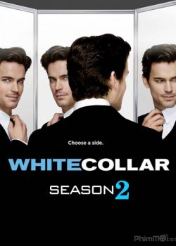 Cổ Cồn Trắng (Phần 2) – White Collar (Season 2)