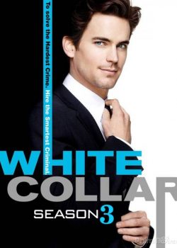 Cổ Cồn Trắng (Phần 3) – White Collar (Season 3)