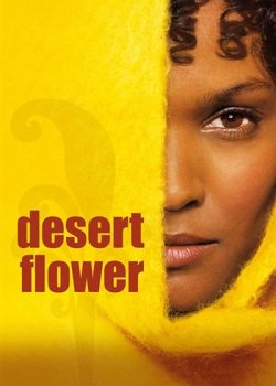 Hoa Sa Mạc – Desert Flower