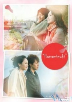 Hoa Thủy Mộc – Hanamizuki / May Your Love Bloom A Hundred Year – ハナミズキ