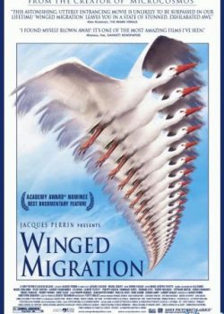 Những Cánh Chim Di Cư – Winged Migration