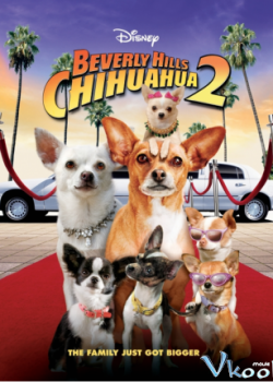 Những Chú Chó Chihuahua Ở Đồi Beverly 2 – Beverly Hills Chihuahua II