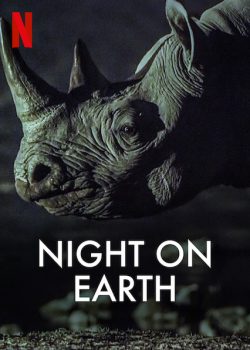 Màn Đêm Trên Trái Đất (Phần 1) – Night on Earth (Season 1)