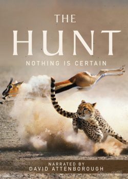 Săn Mồi – The Hunt (BBC)