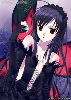 Thế Giới Gia Tốc – Accel World Specials / Accelerated World Specials