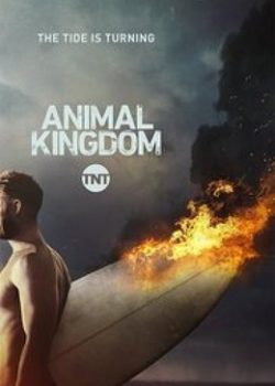 Vương Quốc Tội Phạm (Phần 2) – Animal Kingdom (Season 2)