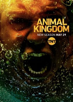 Vương Quốc Tội Phạm (Phần 3) – Animal Kingdom (Season 3)
